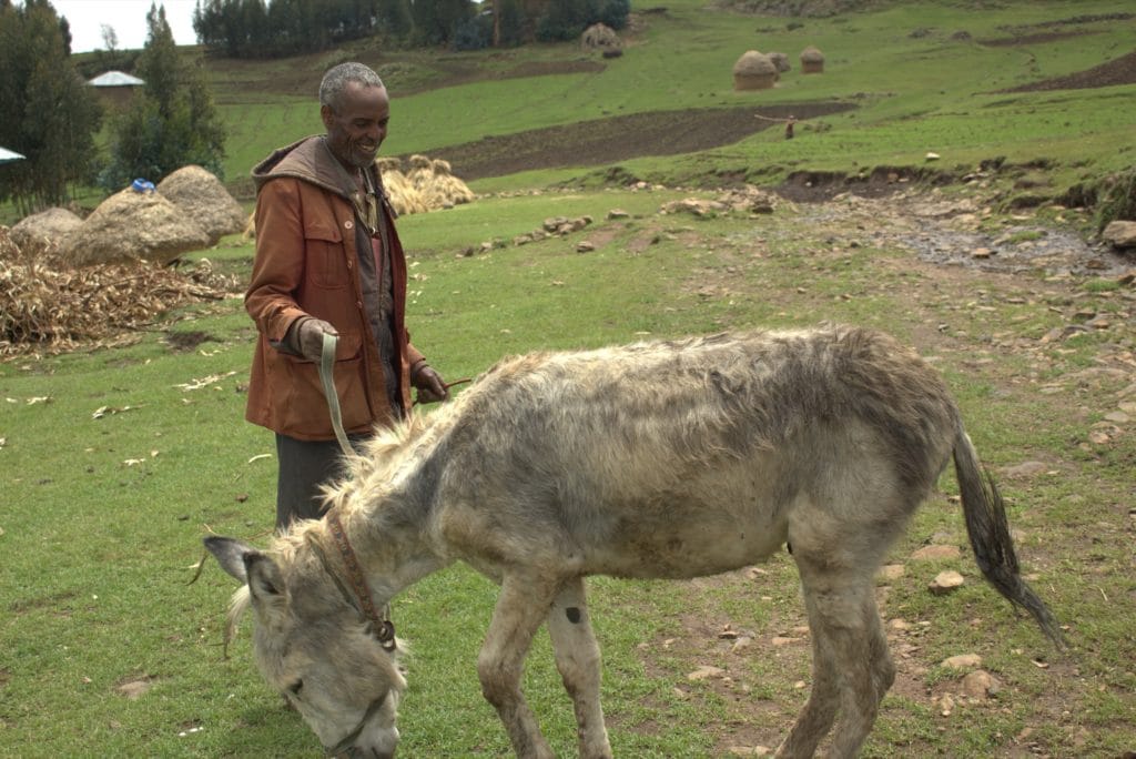 Etiopía, Mundukide