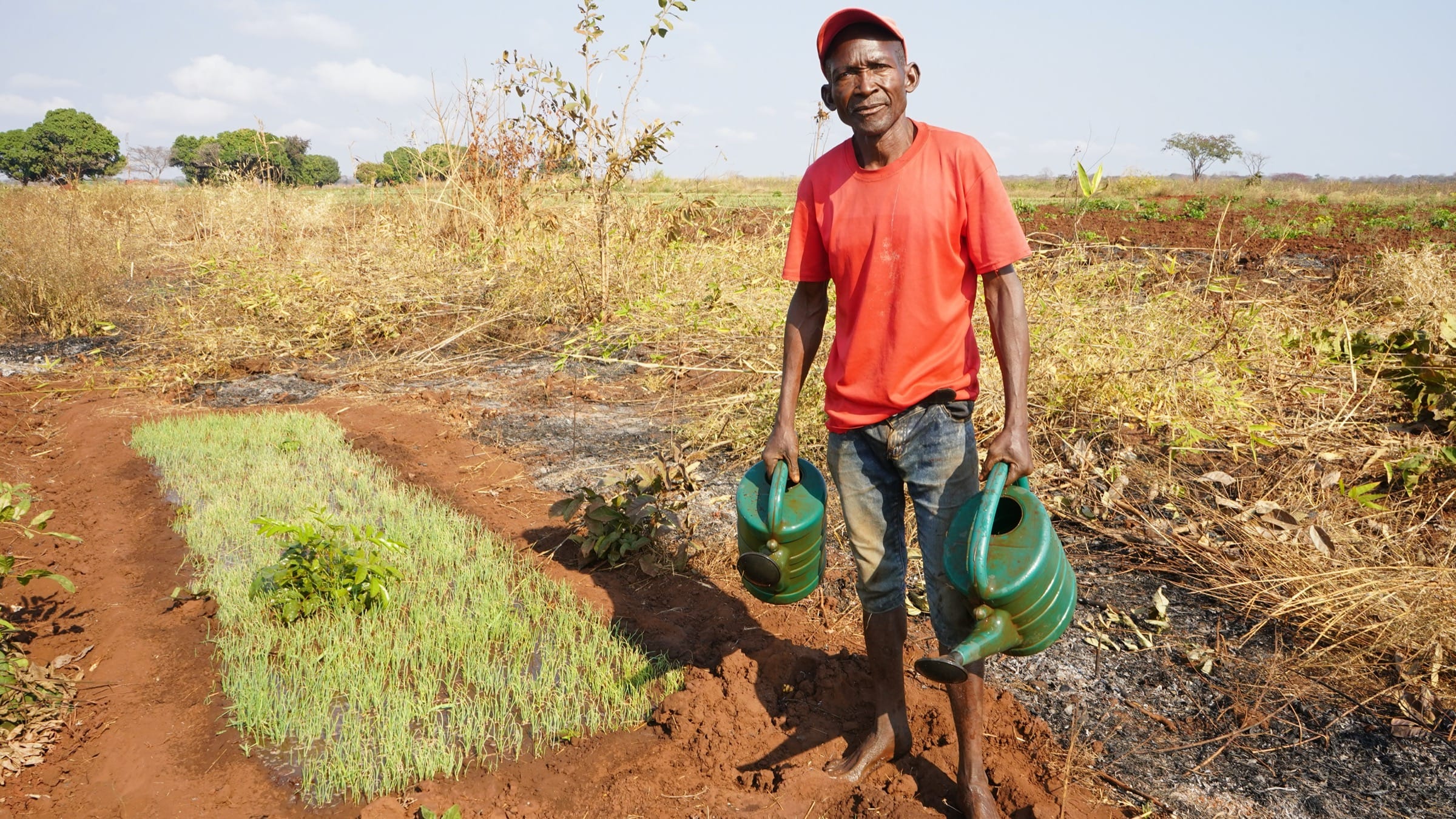 Mozambique, Mundukide